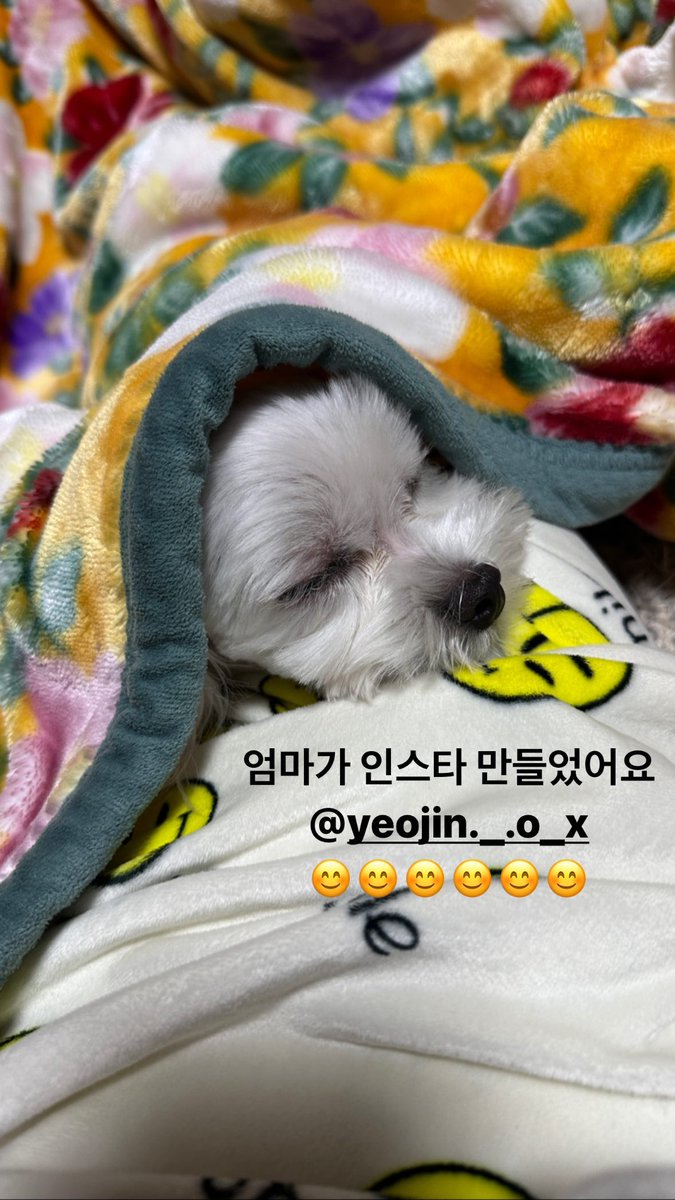 doogong_joo Instagram Story: 
"Mom has made an IG: 
instagram.com/yeojin._.o_x/
😊😊😊😊😊😊"