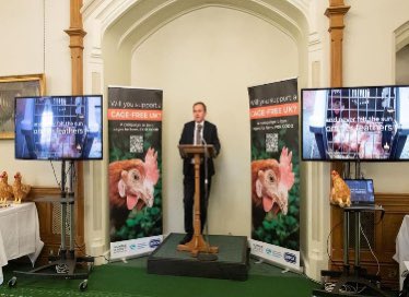 BlueFoxCAFH's tweet photo. It is one year since the #BeatricesBill reception with @ConservativeAWF @humaneleagueuk & @RSPCA_official hosted by @HenrySmithUK
calling for an end to cages for laying hens. Urge @DefraGovUK to deliver the Call for Evidence pledged at this 2022 event
https://t.co/vIHdvNzPyd https://t.co/pGl3o57ZxI
