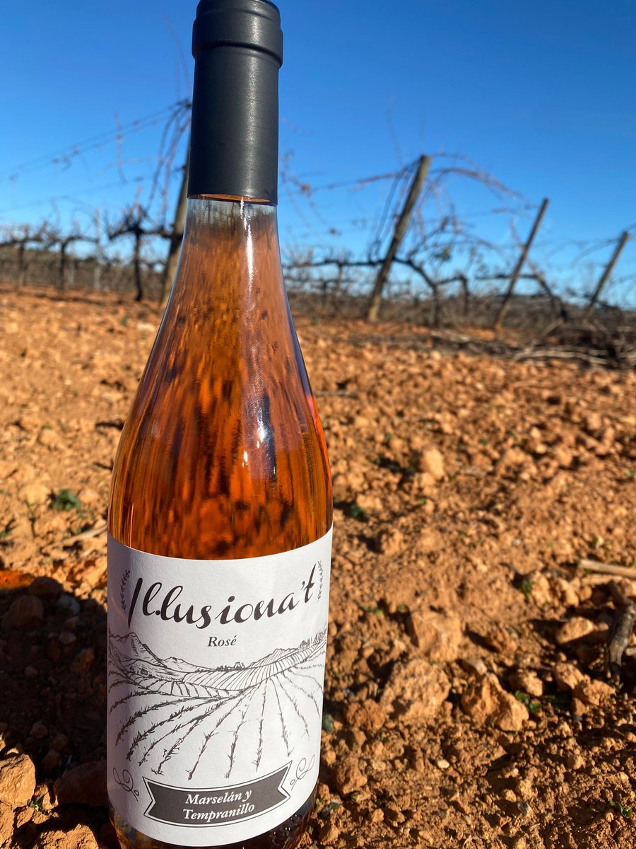 Cellercataruz's tweet photo. Un vino floral, elegante y sutil, nuestro Il-lusiona’t Rosé, capaz de transportarnos al viñedo con el primer trago. 
Déjate sorprender 🌹🌿 https://t.co/75CEjOAAf5