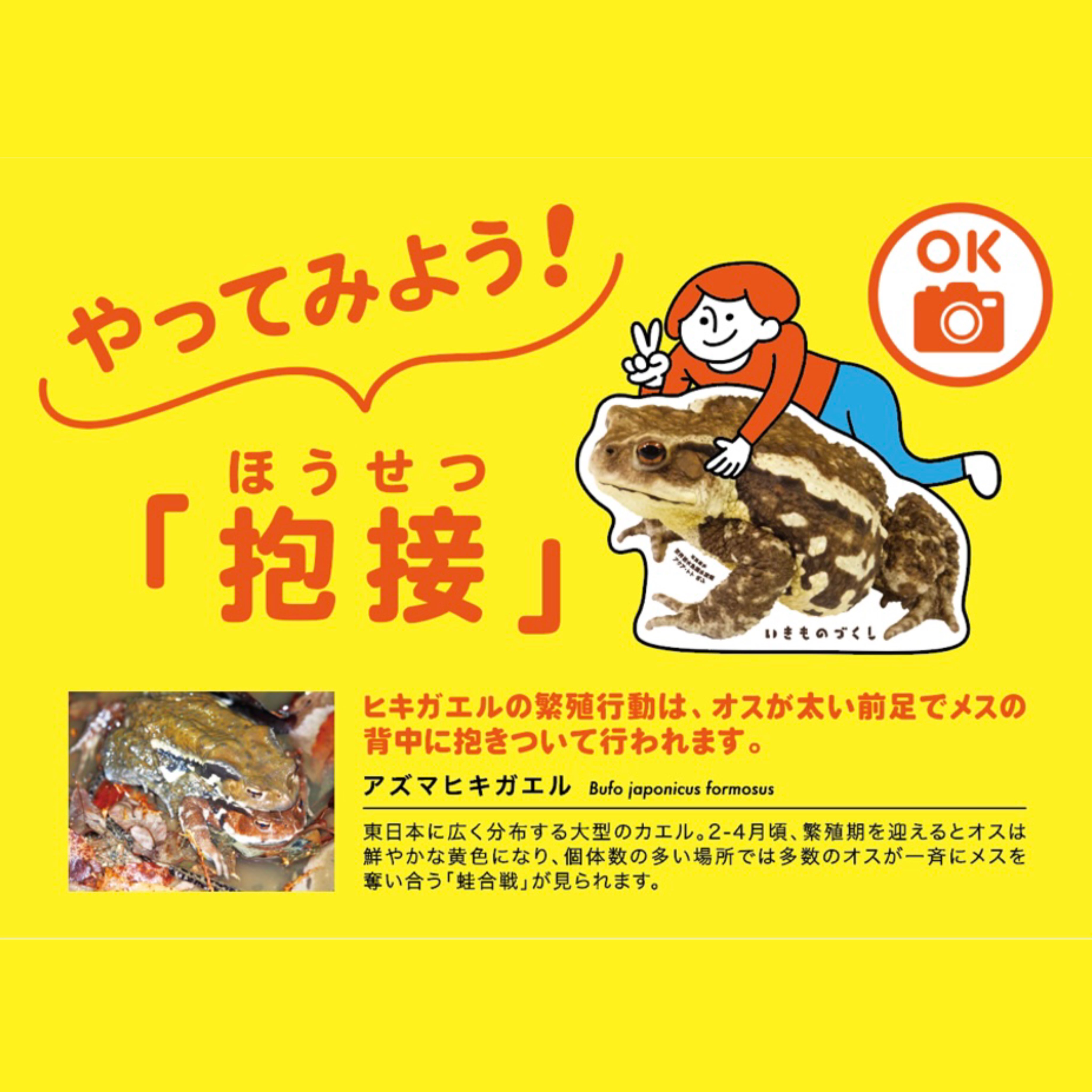 X-এ いきものづくし: 