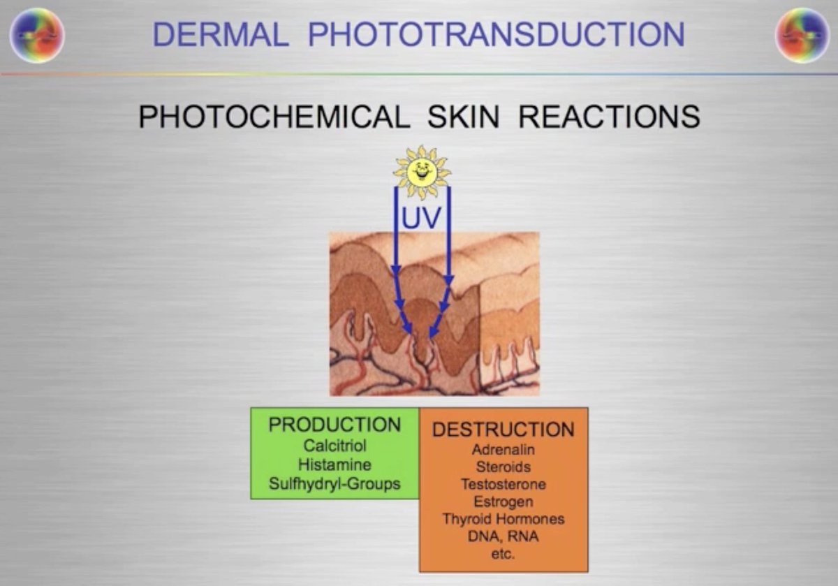 When we wear our clothes in the sun and block its light we lose the script of life.  Clothing becomes our costumes and we become actors on the stage... without our clothes, we become one with Nature. It’s nice to take a break from acting each day to keep the doctor away!