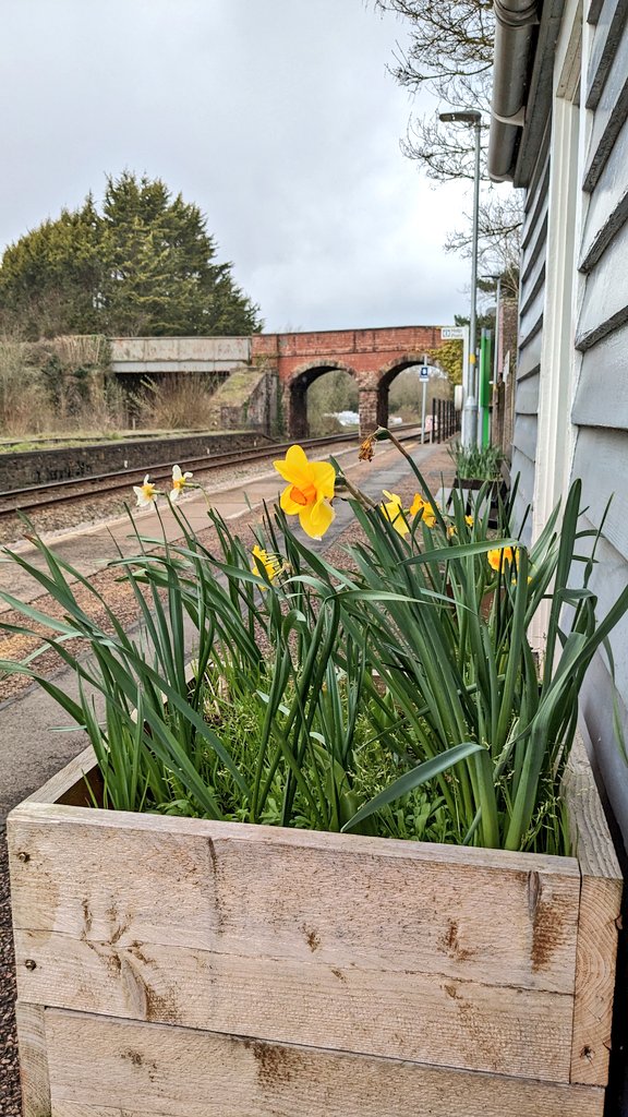 glenaallen's tweet photo. Today's adventure... @GWRHelp request stop #Yeoford, gorgeous little village and a lovely station to watch #TarkatheOtter from. #TarkaLine https://t.co/rZ4VBdUxM6