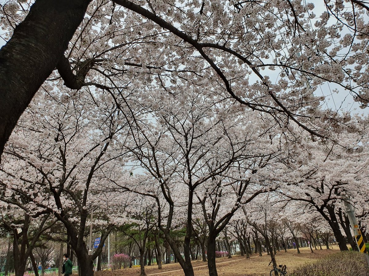 흔한 퇴근길 동네 뷰~