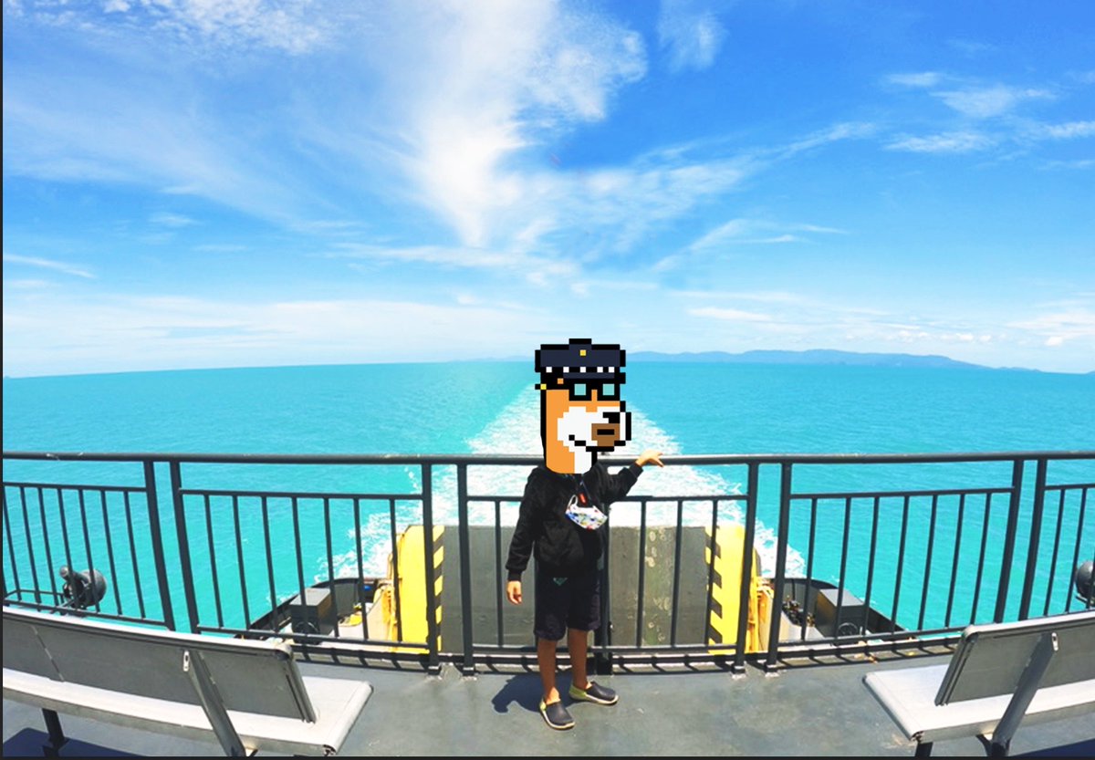 bobstar_web's tweet photo. Excited that I am a part of the BTC revolution @DogePunksBTC #DogePunksChallenge
This is one of the place where I live and not a big city. https://t.co/LThuSu6vbE
