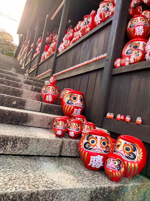 帰りにお寺寄ったんですけど、ダルマさんめっちゃいました 