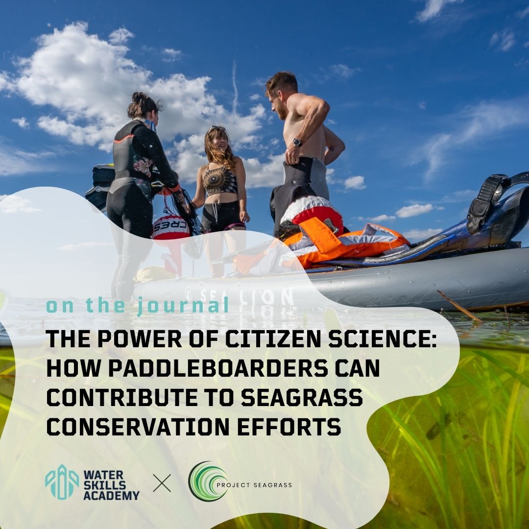 Did you know that you can use your passion for paddleboarding to help protect the environment? waterskillsacademy.com/blog/the-power…
<a href="/ProjectSeagrass/">Project Seagrass</a>
 
#seagrassawarenessmonth #SeagrassWatchUK #CitizenScienceUK #projectseagrass #paddleboarding #paddleboarders #sup #supconservation #supuk