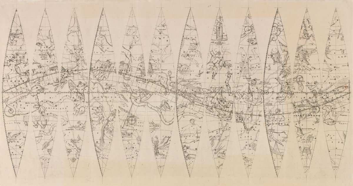 Uncoloured and uncut printed paper gores for the 'New Celestial Globe' (6-inch?), by Bale and Woodward, England, 1851-1900.

#astronomy #geography #histastro #scicomm #historyofscience