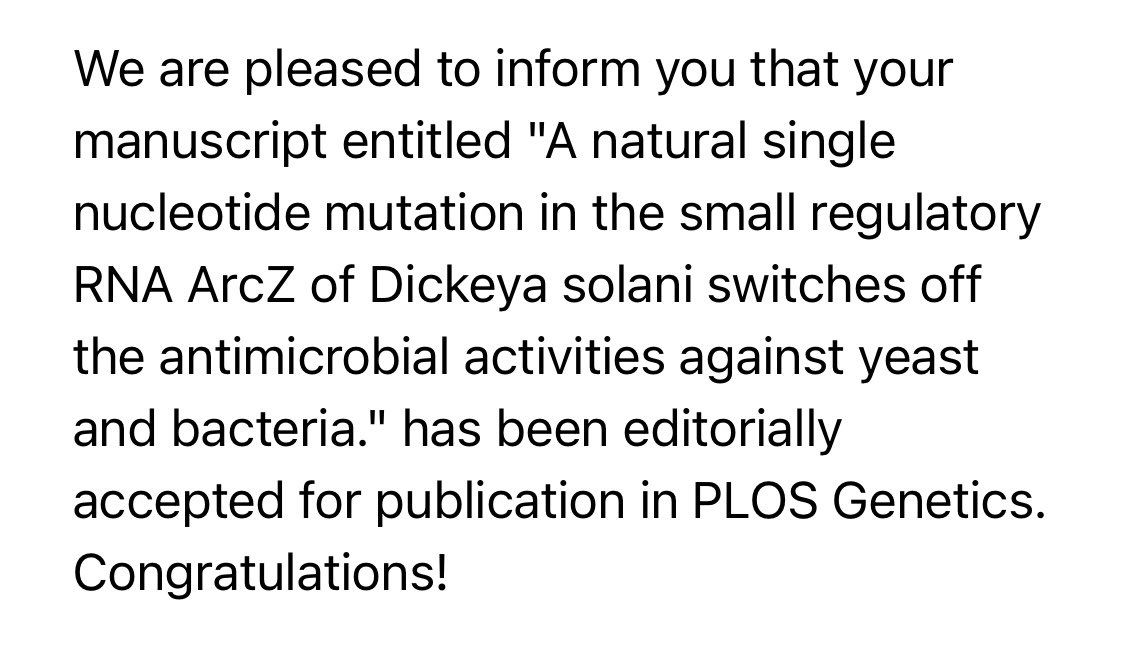 What better way to start the day? 🥳
My first paper just got accepted this morning! 📄 Thanks to the people involved in this project 🍻 I’ll explain this funny story soon 😏