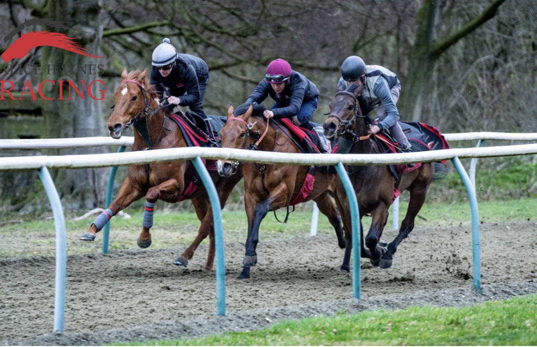 ahaynesracing's tweet photo. Racing into the weekend! #flatseason #AHracing #AHteam https://t.co/fEflsG32t0