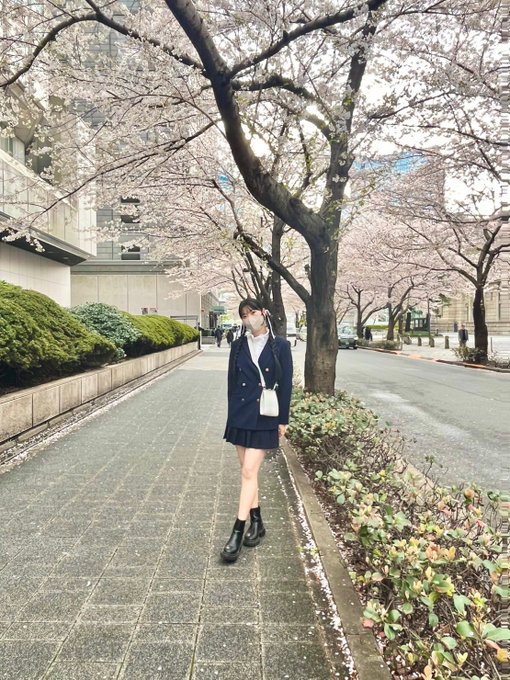 【ウララ】江戸桜通りに行ってきました🕊葉桜も所々あったんですが、その分、落ちた花びらが道をピンク色に染めていて、絨毯みた