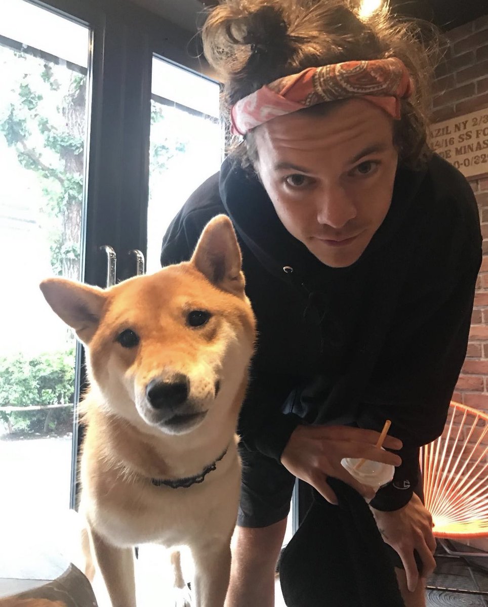 boyfriend harry! tweet media