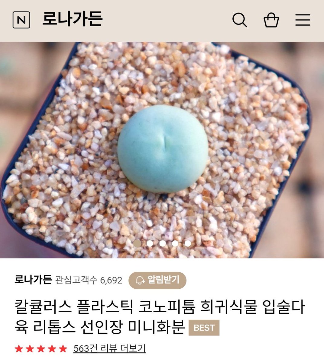 plantsickgirl's tweet photo. 아~ 올해도 돌아왔다~
우리장르 명절 식목일! 
알티추첨 ���분께 아기칼큘러스 보내드립니다
(플라스틱분 옵션으로 보내요)
식물계 아니어도 오케이
팔로워 아니어도 오케이
지금까지 식물을 키우지 않아보셨어도 오케이
칼큘이를 사랑으로 돌봐주실 분만 알티해주세요 https://t.co/QQlwDUE7ns