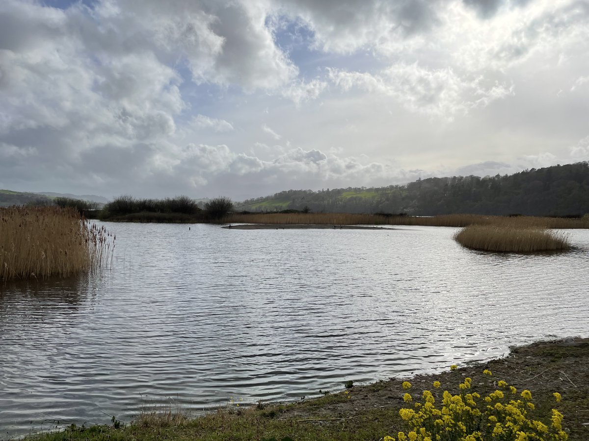 artsed_wales's tweet photo. Thank you @glynfedwards for such an inspirational Environmental Poetry training course for local teachers yesterday. We might not have had the best weather but @RSPBConwy was still a beautiful place to spend the afternoon!
@GwEGogleddCymru @poetrywales @Arts_Wales_ @WG_Education https://t.co/jEudFOy8ZG