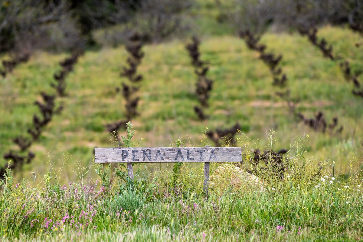 El paisaje de Marañones se va transformando lentamente. La vida, poco a poco, retoma su lugar.