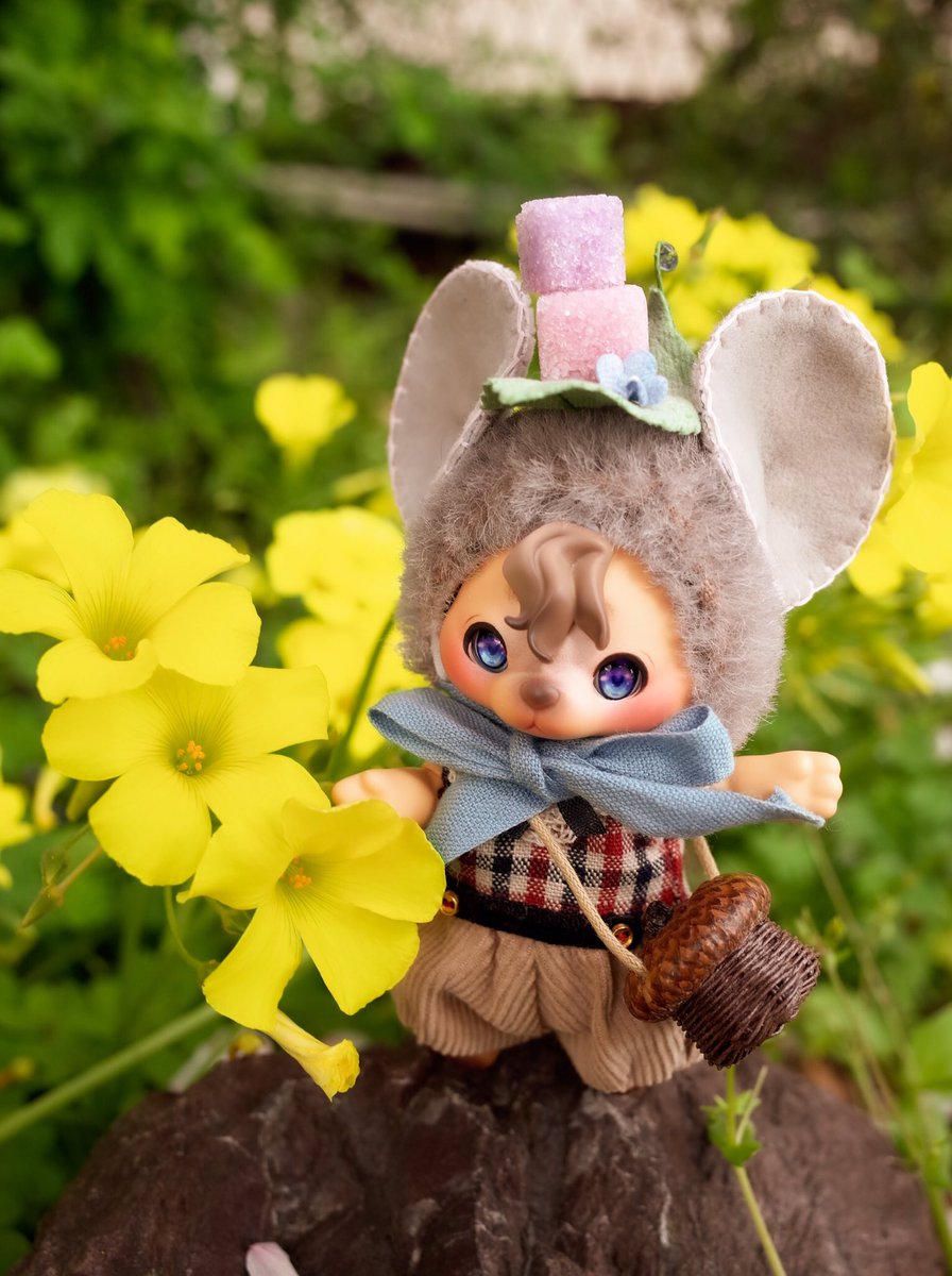 mitw0001's tweet photo. 花を見つけた💕
🌼🐶🌼🐭🌼

#cocoriang
#코코리앙 https://t.co/2UVGxnXF7I