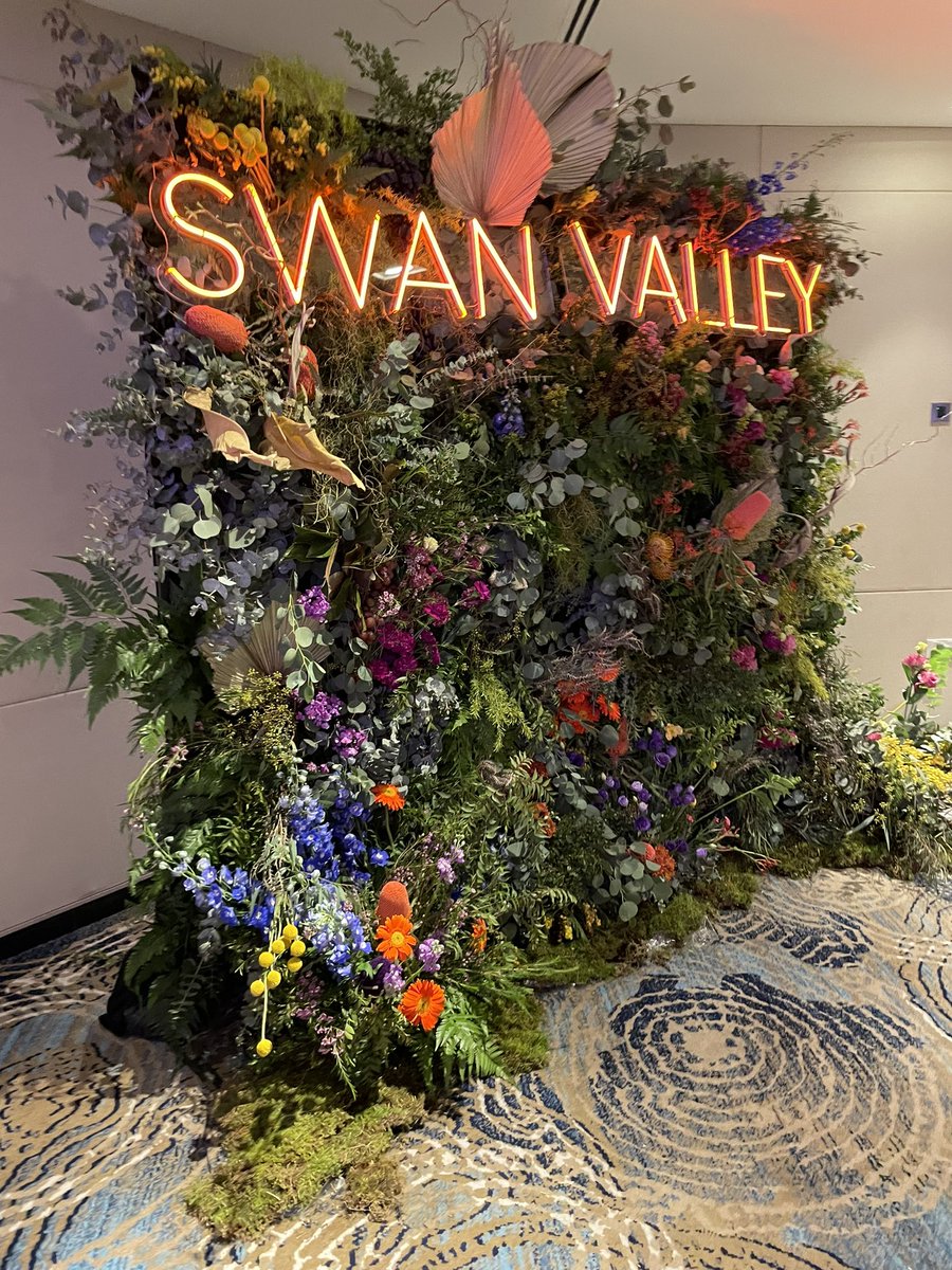 The Swan Valley, WA tweet media