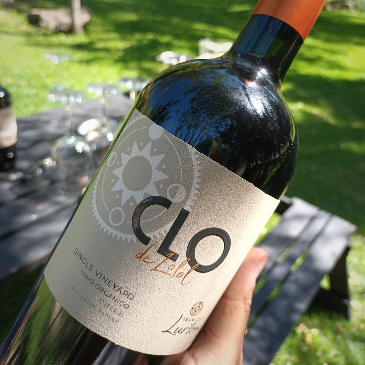 ¡No te quedes sin vivir una experiencia inigualable! 

Reserva tu lugar en nuestro Tour CLO por los viñedos de François Lurton y descubre la viticultura orgánica y biodinámica en el Valle de Lolol.Termina con una degustación de 3 vinos de nuestra línea CLO.