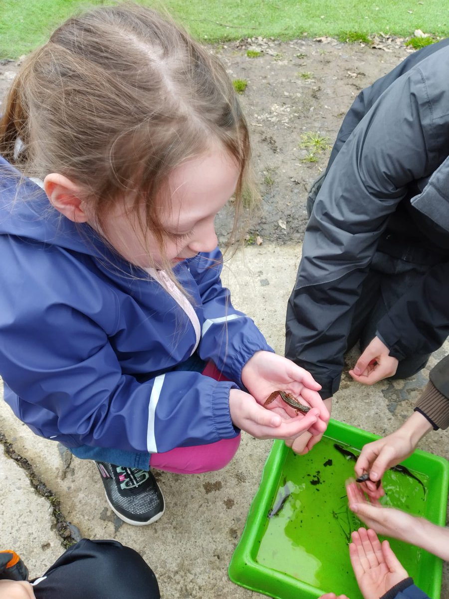 TreeHouseClub_G's tweet photo. Learning about some of our more slippery friends!

#pondlife #learning #Spring #Treehouseclub #Trowbridge #childcare #Wiltshire https://t.co/Hy30EiKB6g
