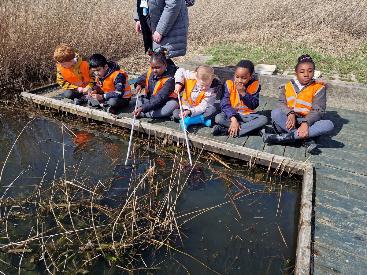 MrsHowa85779328's tweet photo. A wonderful, muddy day @RSPBRainham @QHAThurrock .
Minibeasts,  ponds and mud! https://t.co/vGS3WtDzCf