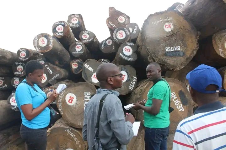 ogfrdc's tweet photo. 📢les inspecteurs de la CCV, accompagnés d'Observateurs Indépendants de @ogfrdc
ce mercredi 29 mars. Ils ont commencé une série de contrôles des sites d'entreposage de bois issus de l'exploitation artisanale dans les ports de Kinkole et Maluku à Kinshasa. 
@vpmedd_rdc 
@noradno https://t.co/8kyFGRGgtH