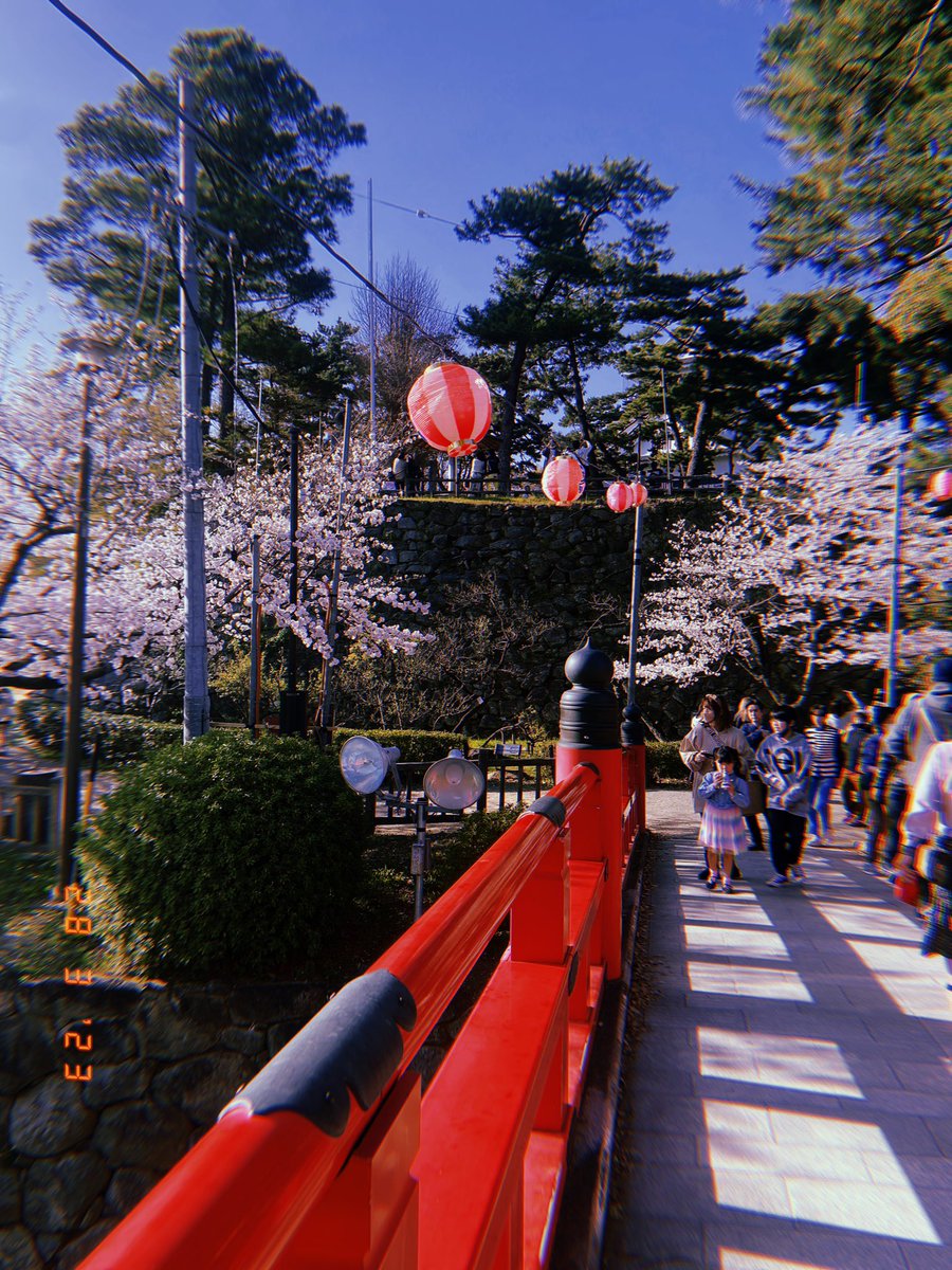 I like spring in Japan 🥰🌸