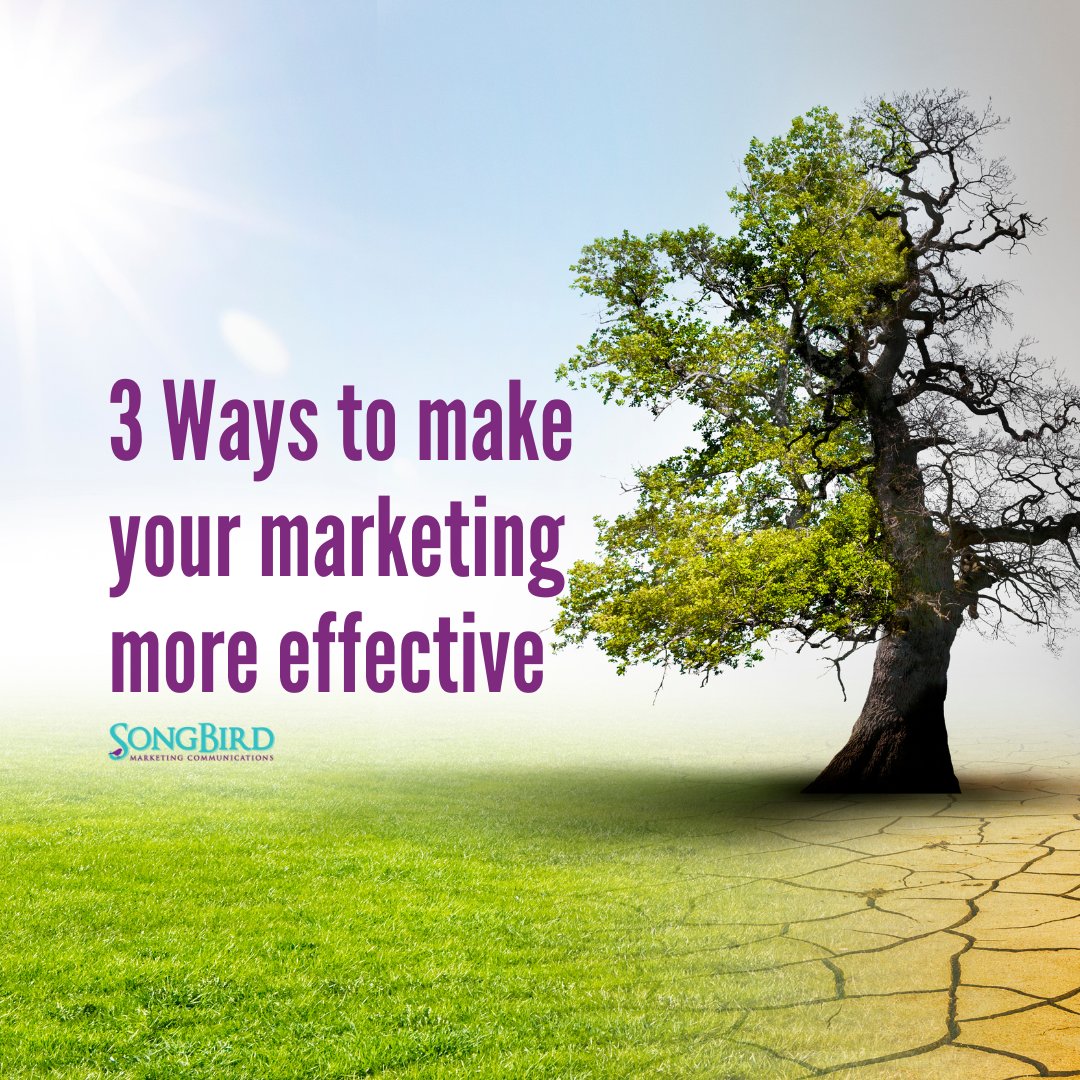 Let’s get down to the nitty gritty about how you can make your marketing better. <a href="/candacehuntly/">Candace Huntly</a> shared some things you can do to make your #marketing more effective – and feel less burnt out.

Check out all the details: l8r.it/hicM #MarketingTips