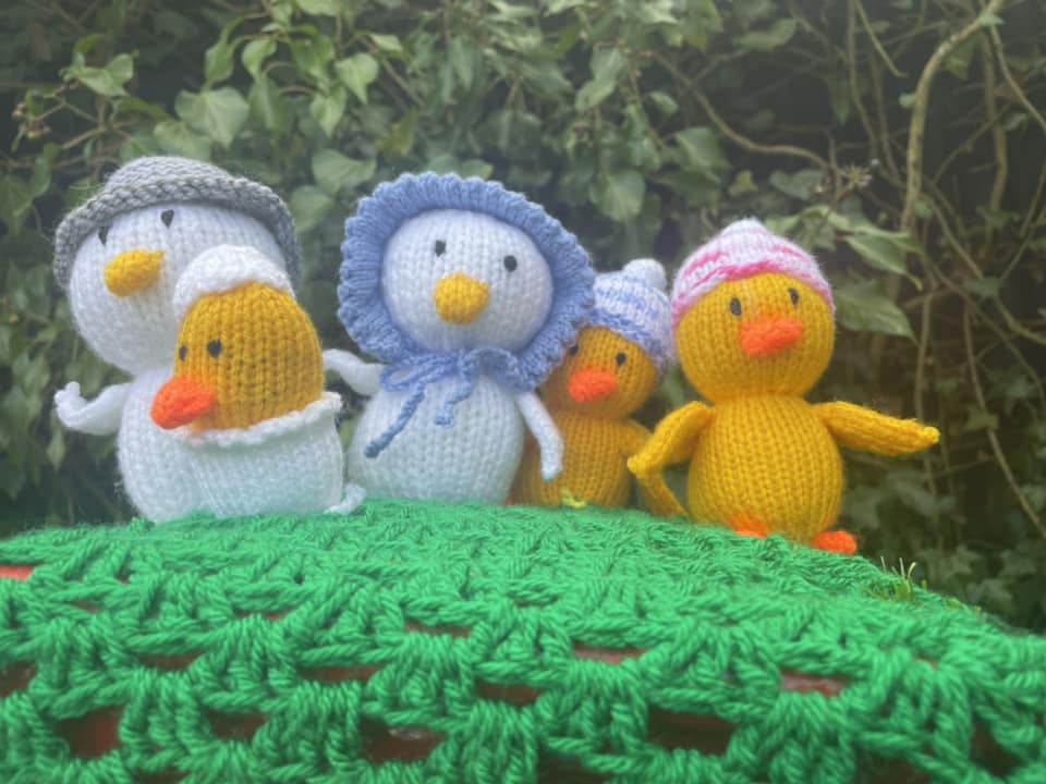 CheshireFederationWI tweet media