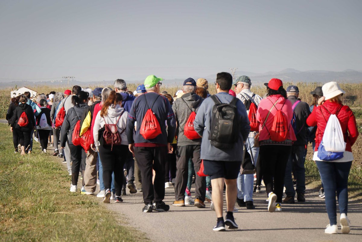 HospitalLaFe's tweet photo. 🏥🚶🚶‍♀️Más de 250 vecin@s de 8 municipios de L’Horta Sud participan en una caminata saludable para promover el ejercicio en grupo
La iniciativa ha sido impulsada por el centro de salud pública de Alzira y los departamentos de @HospitalLaFe y @GVADrPeset  
📰https://t.co/UP0oXu6Oum https://t.co/hMqux4X5IU