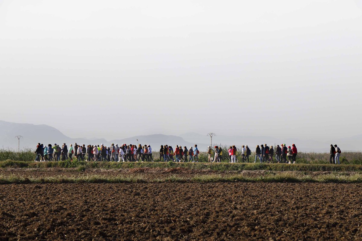 🏥🚶🚶‍♀️Más de 250 vecin@s de 8 municipios de L’Horta Sud participan en una caminata saludable para promover el ejercicio en grupo
La iniciativa ha sido impulsada por el centro de salud pública de Alzira y los departamentos de <a href="/HospitalLaFe/">HospitalLaFe</a> y <a href="/GVADrPeset/">DS Doctor Peset</a>  
📰bit.ly/3JUmj69