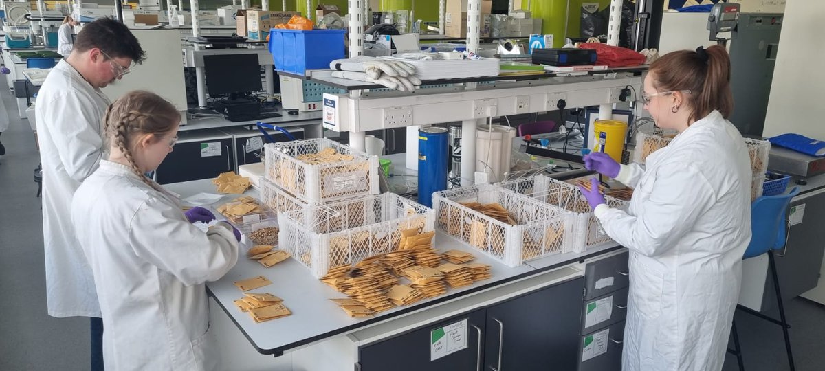CranPostharvest's tweet photo. The postal service at CranfieldPSL is open for #seeds! Who knew parsnips need the mail too. 
@HeatherWickson
@Elsomsseeds @CranfieldUni @CranfieldAgrifo https://t.co/go7lEzIvHr