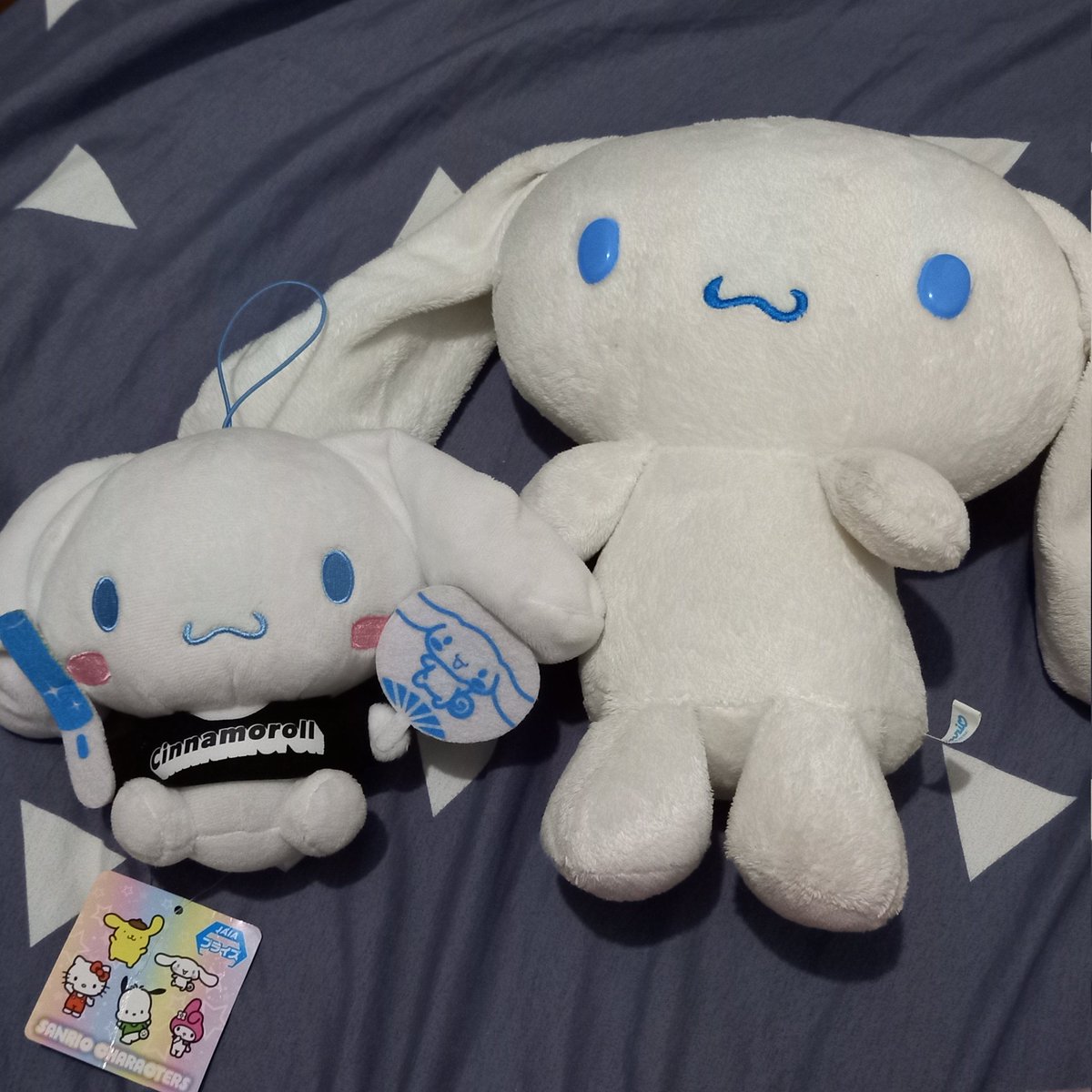 glassyhaul's tweet photo. wts lfb cinnamoroll ph

small cinnamoroll holding a fan plush - 250 pesos
big cinnamoroll plush - 400 pesos

both are authentic! yung sa big one, naalis lang yung taggg. will laba before i ship! https://t.co/X6RNTYJ00f