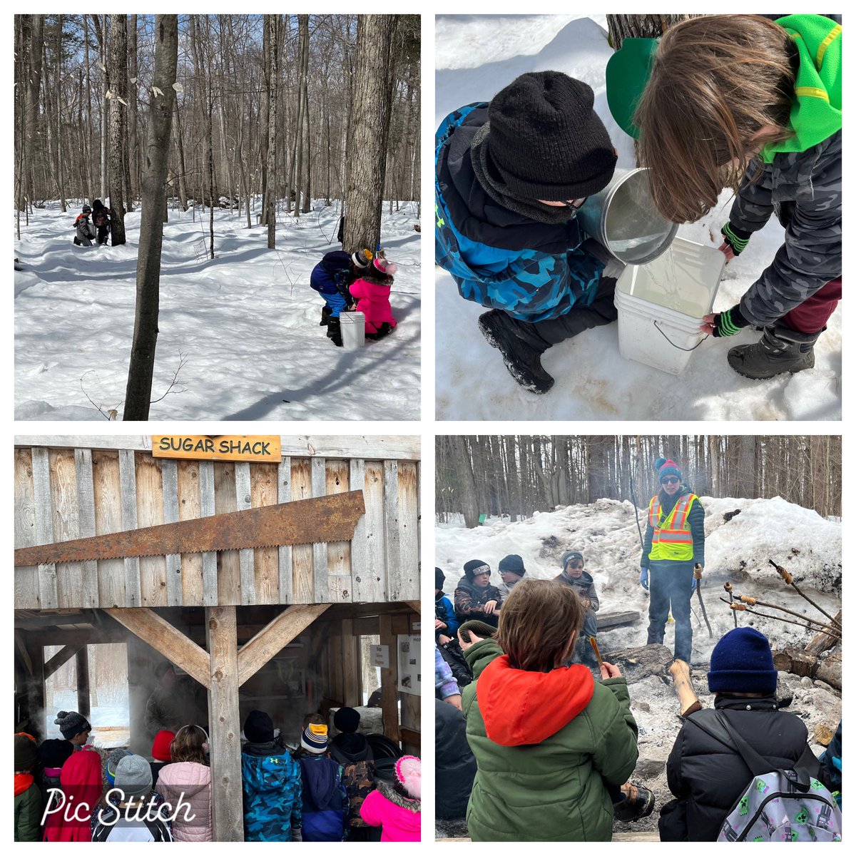Terrific trip to <a href="/ShawWoodsOEC/">ShawWoods</a> yesterday! They never disappoint. Staff is knowledgeable and welcoming. I highly recommend to any educators out there. Students had a blast and learned lots!