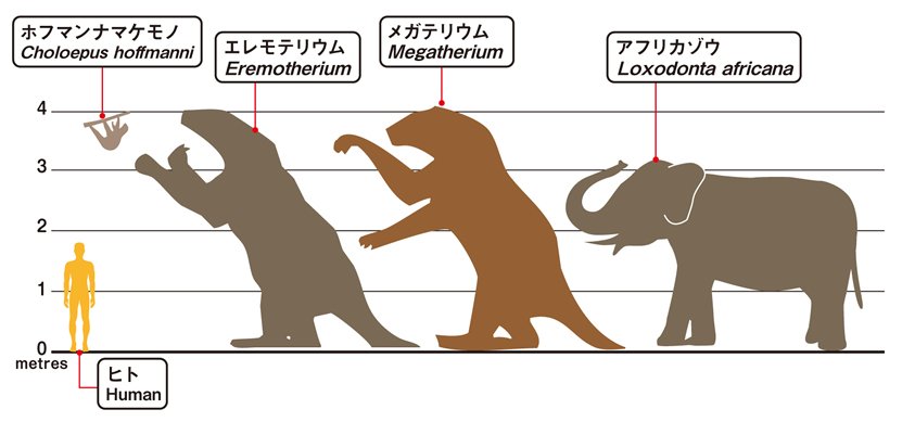 今はこんな矮小な姿やが……
これでも祖先の姿は
まるで陸の王者だった… https://t.co/pIxiuWs3ge 