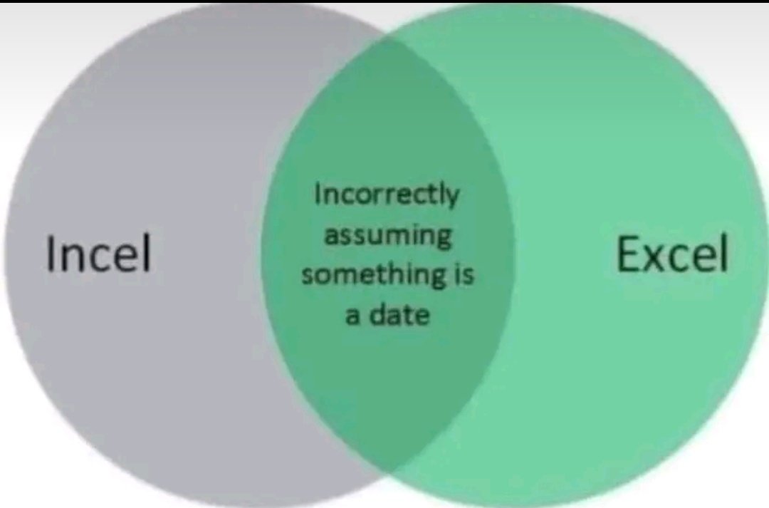 vikkio88's tweet image. #excelmemes