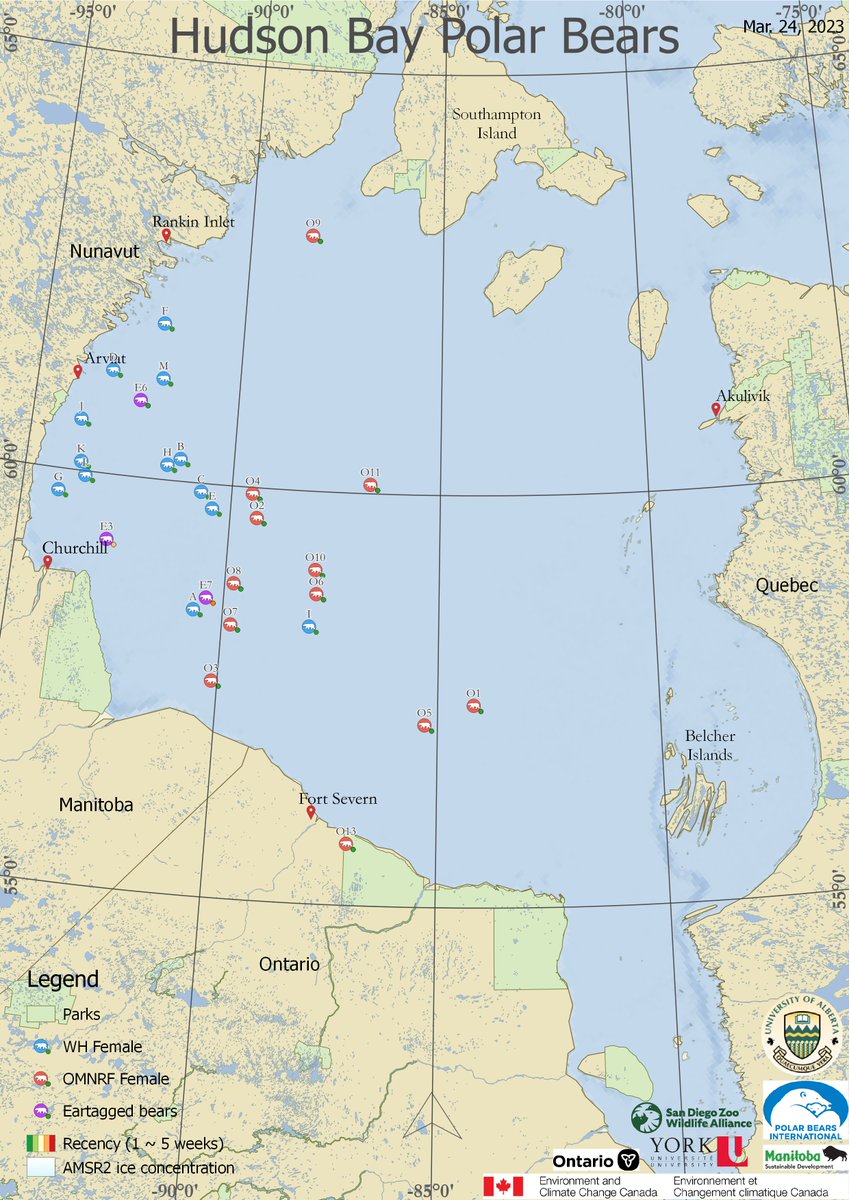 Andrew Derocher tweet media