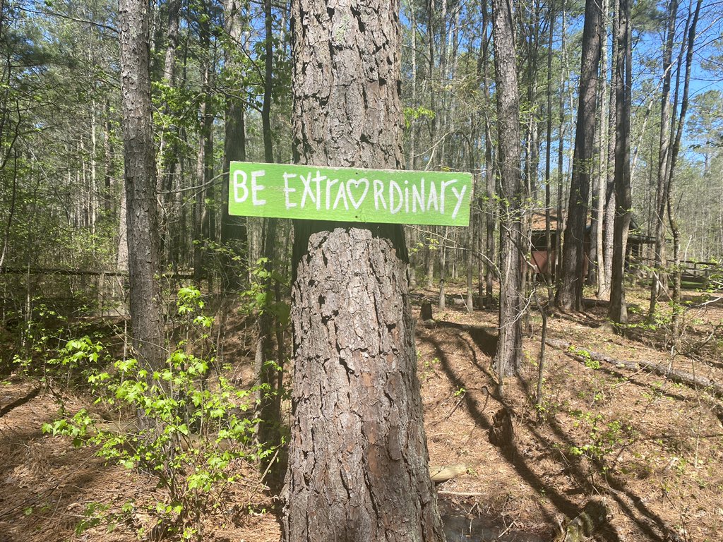 Kristi Story tweet media