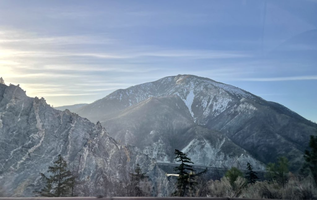 Aurelian Giles tweet media