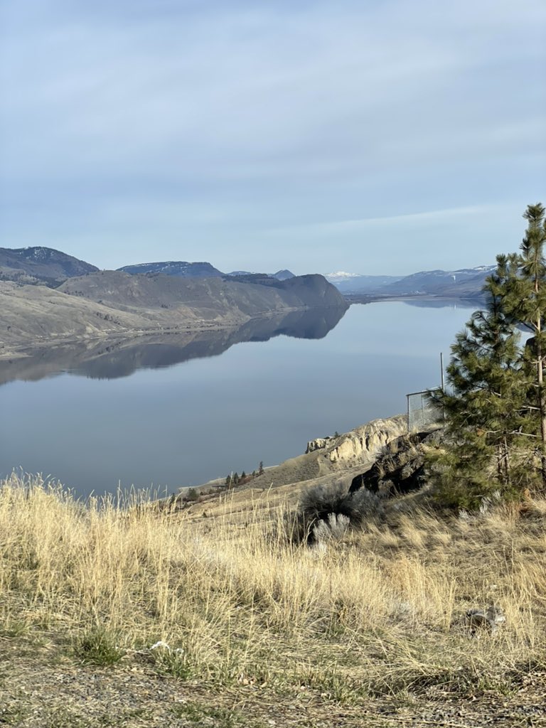 Aurelian Giles tweet media