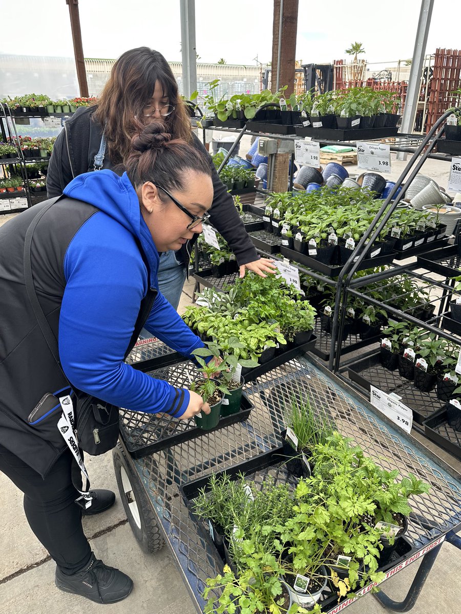 HHOVV's tweet photo. Did you know we have senior social?🤔 Seniors age 60 and up are welcome to come join us every Tuesday &amp; Thursday for lunch and every Wednesday for dinner! 🍽
Big thank you to Darla @starnurserylv for the donation of plants for our clients dinner and planting night! 🌱💙

#hhovv https://t.co/CW1I18yJhI