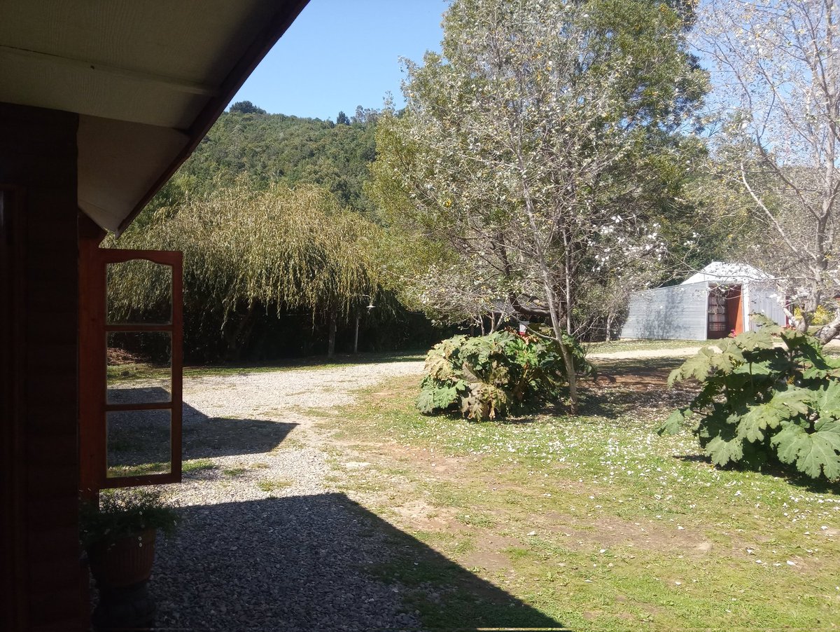 Csar33054706's tweet photo. Niebla, Valdivia! ♥️ https://t.co/6HtxocHETy