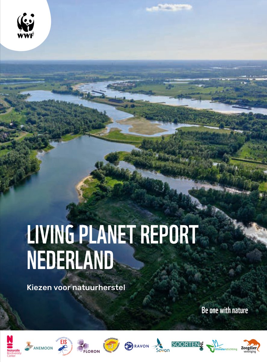 #natuurherstel is één van de beste investeringen die we kunnen doen om verlies van biodiversiteit te stoppen, volgens het nieuwste #LivingPlanetReport. Over het geheel genomen is onze natuur er slecht aan toe. 

Lees het hele bericht en bekijk het rapport: zoogdiervereniging.nl/nieuws/2023/ge…