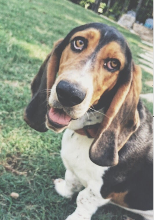 For those that stopped by the stream &amp; got to see me add the "Princess Leia" cam in real-time... you will be happy to know it has become a permanent fixture!

Will be continuing our stream tonight with our Very Hard playthrough of <a href="/CyberpunkGame/">Cyberpunk 2077</a> &amp; we'd love to see you all there!