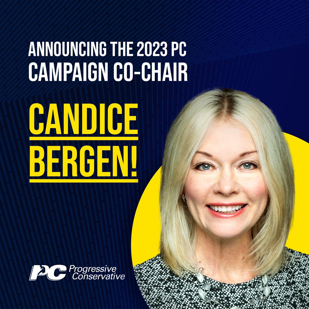 Candice Bergen Harris on Twitter "I’ve seen the damage NDPLiberal