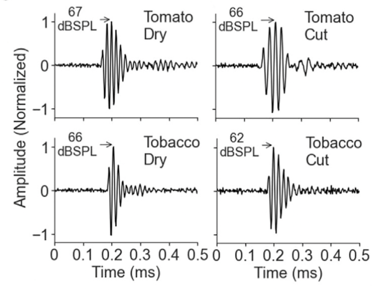 neuroecology tweet picture