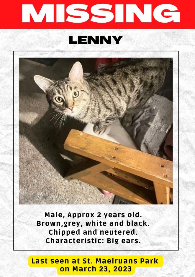 Hello Dublin - pls retweet this. Lenny has been missing for 7 days and despite our best efforts, we can't find him anywhere. He is my dad's companion and is very upset w/o him. He is chipped and neutered. Extremely friendly and most defining feature is big ears. GRMA!!