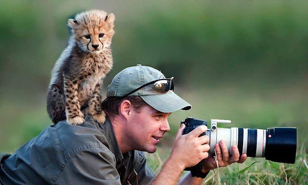 Nature is Amazing ☘️ tweet media