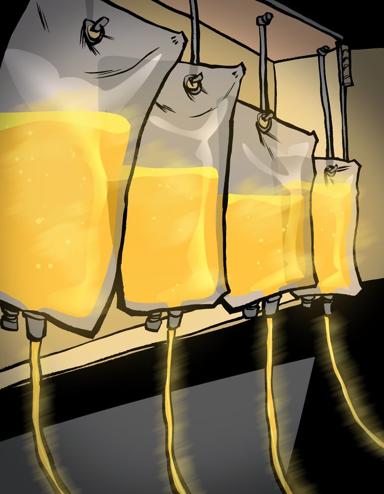 thewired.eth 🌻-' tweet media