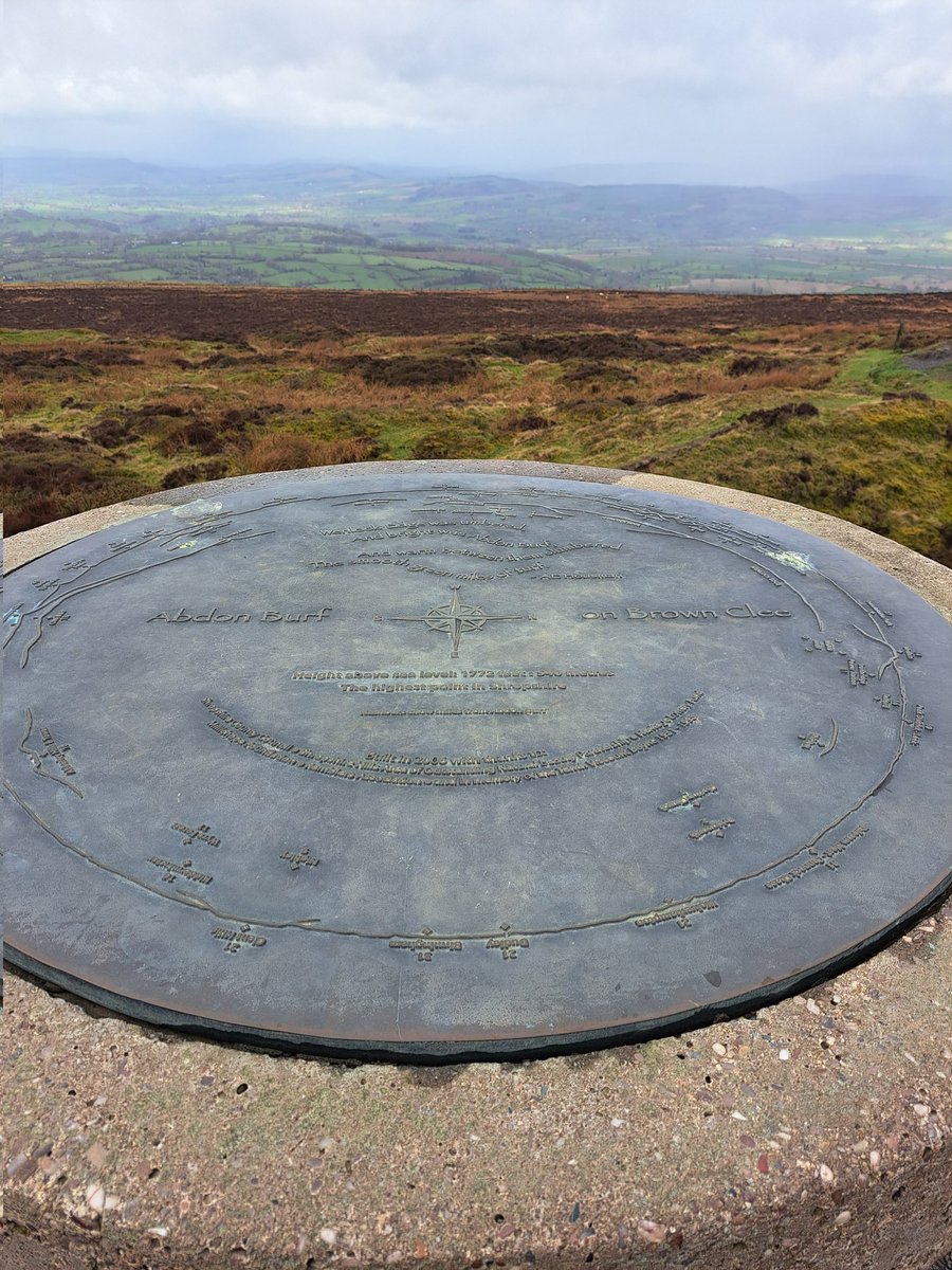 Ian Lambert tweet media