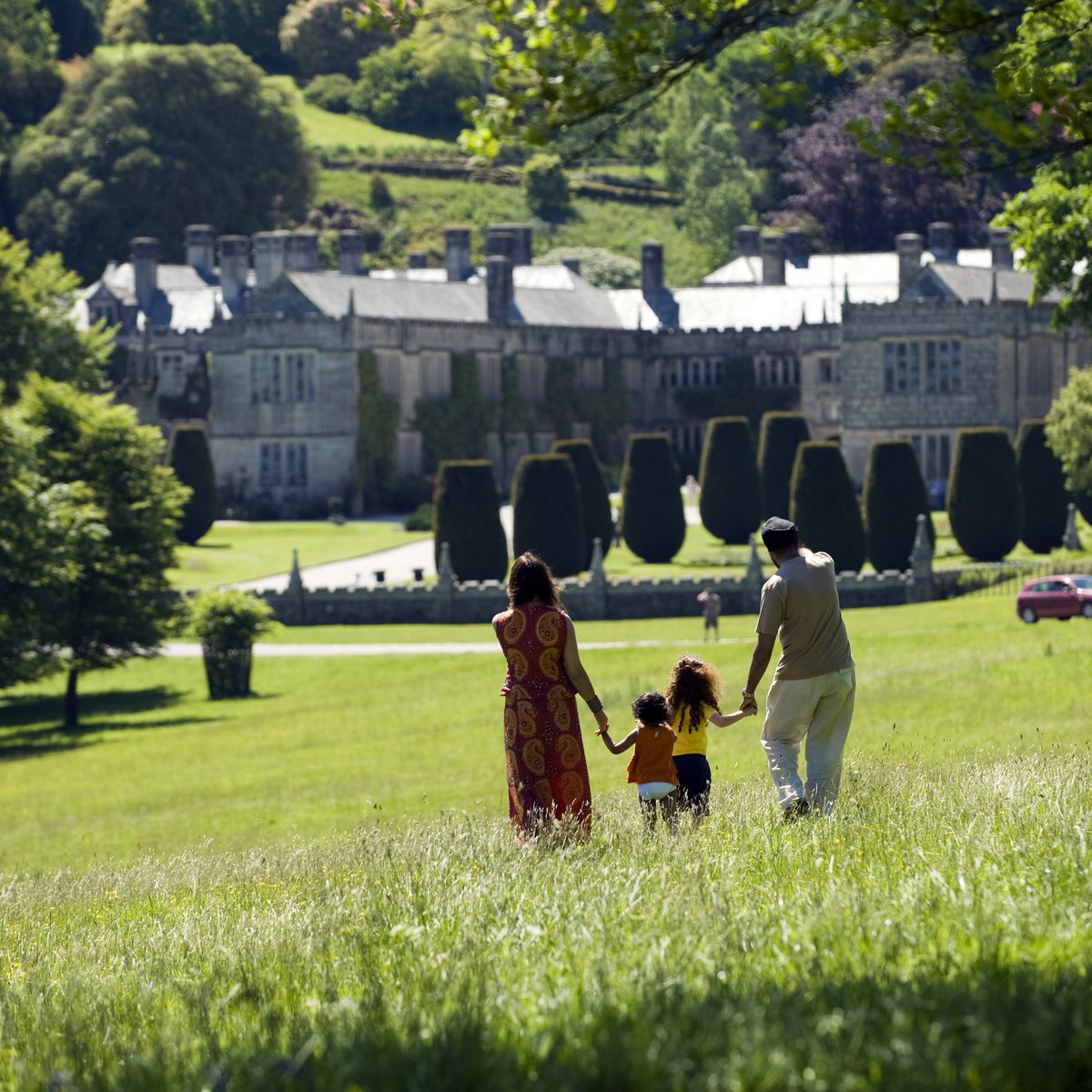 National Trust South West tweet media