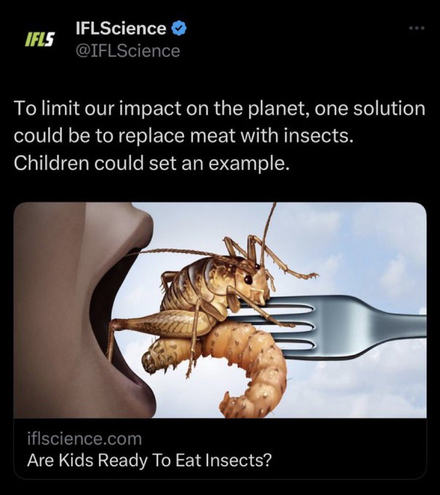 Robby Starbuck tweet media